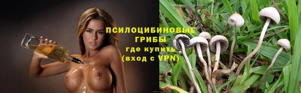 винт Верхний Тагил